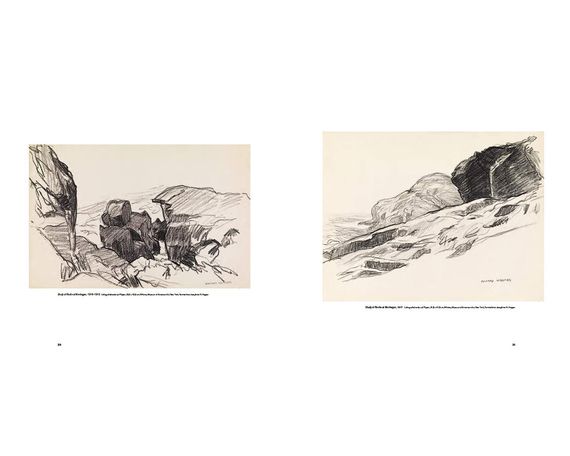 Література для художників Edward Hopper: A Fresh Look at Landscape книга з картинами художника Едварда Хоппера | Зображення 6
