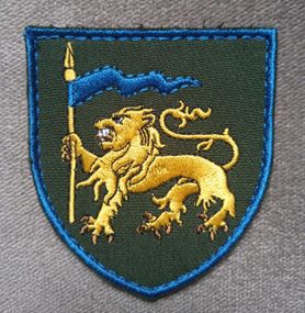 Шеврон 60 отдельная Ингулецкая механизированная бригада