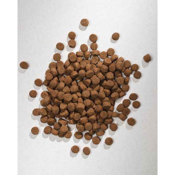 Корм сухий HalfHalf для дорослих собак середніх порід із яловичиною 2 кг | Зображення 5