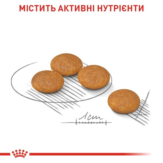 Сухой корм для собак с чувствительной кожей Royal Canin Mini Dermacomfort, 3 кг | Зображення 2