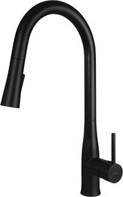 Змішувач для кухні Deante Lukrecja BDH_N72M