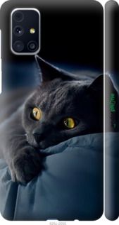Чохол на Samsung Galaxy M31s M317F Димчастий кіт "825m-2055-2448"