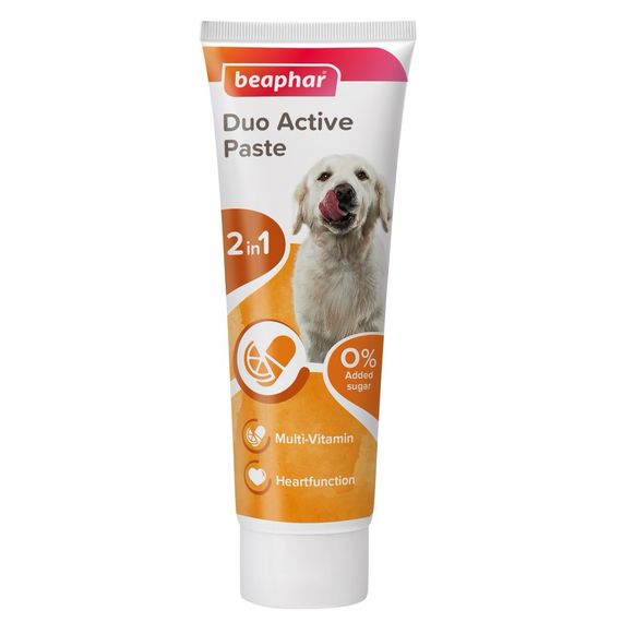 Мультивітамінна паста для здоров'я кишківника у собак Duo Active Pasta for Dogs, 100 гр