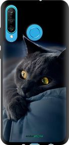 Чохол на Huawei P30 Lite Димчастий кіт "825b-1651-2448"