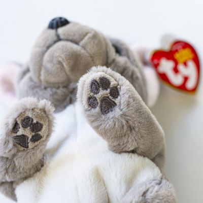 М&apos;яка іграшка Ty Beanie bellies Сірий пес WILFRED 20 см (40596) | Зображення 1