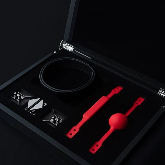 Набір кляп-кулька і кляп брусок на шкіряному ремінці Lockink | Зображення 1