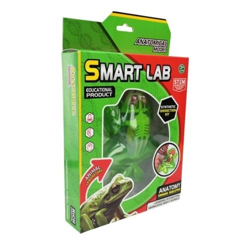 Детский лабораторный набор Лягушка 801B, скелет, внутренние органы | Зображення 2