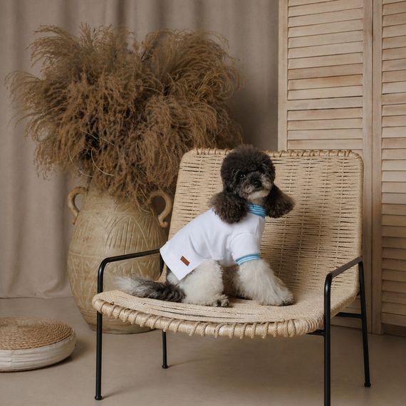 Футболка Pet Fashion Polo для собак XS | Зображення 4