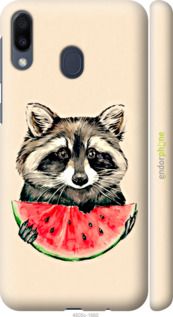 Чохол на Samsung Galaxy M20 Єнотик з кавуном "4605m-1660-2448"