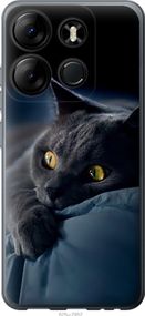 Чехол на Tecno Spark Go 2023 BF7 Дымчатый кот "825u-2952-17620"