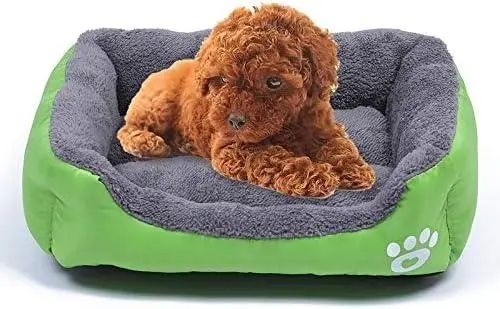 Лежанка - пуф для котів та собак Зелена S(40*25) | Зображення 6