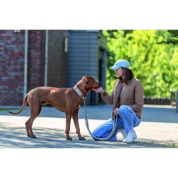 Нашийник Trixie Premium для собак екстраширокий L–XL 53–62 см 50 мм пісочно-сірий | Зображення 3