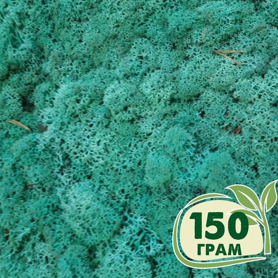 Стабілізований мох ягель Смарагдовий 150 грам