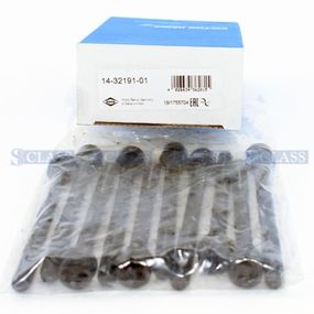 Комплект болтов ГБЦ Fiat Doblo / Opel Combo 1.3JTD/MJET/CDTI, Victor Reinz, 14-32191-01,