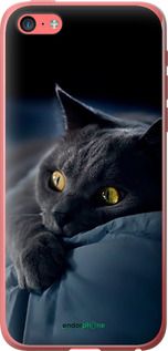 Чохол на iPhone 5c Димчастий кіт "825t-23-2448"