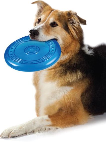 Іграшка для собак Outward Hound Petstages Orka Flyer Pet, 22.5 см | Зображення 1