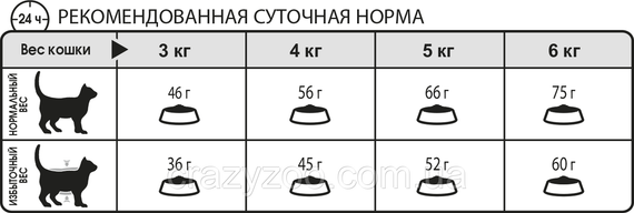 Сухий корм для котів Royal Canin Oral Care проти зубного каменю 400 г 2532004 | Зображення 2
