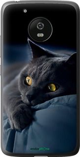Чохол на Motorola Moto G5 Димчастий кіт "825u-832-2448"