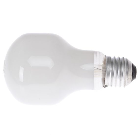 Лампа накаливания декоративная 40W E27 WW T60 SOFT TONE 220V | Зображення 2