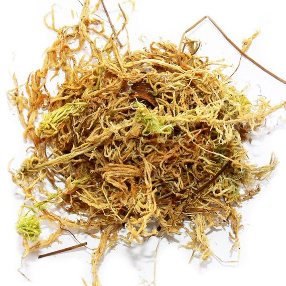 Мох Сфагнум 0.5 л