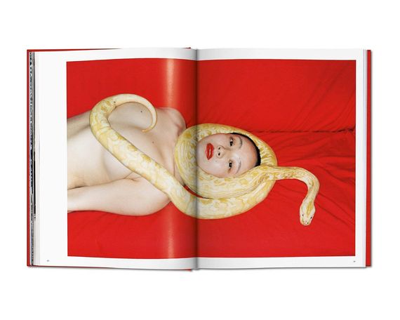 Альбомы известных фотографов книга с работами Рен Ханга "Ren Hang" Taschen книги про искусство фотографии | Зображення 5