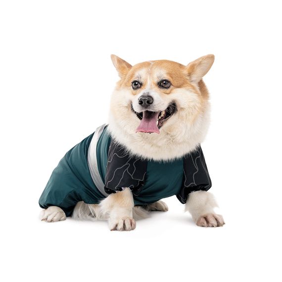 Комбінезон Den S такса для собак | Зображення 2