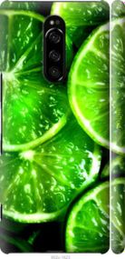 Чохол на Sony Xperia 1 J9110 Зелені часточки лимона "852m-1760-2448"