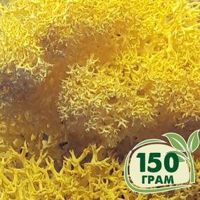 Стабілізований мох ягель Жовтий лимонний 150 грам