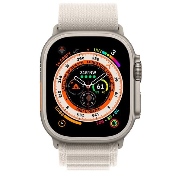 Ремешок Alpine Loop для Apple Watch 42(ser.1-3)/44/45/46/49mm (m/l) Серый / Starlight | Зображення 1