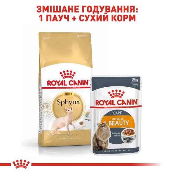 Сухий корм для котів породи сфінкс від 12 місяців Royal Canin Sphynx Adult 10 кг | Зображення 3