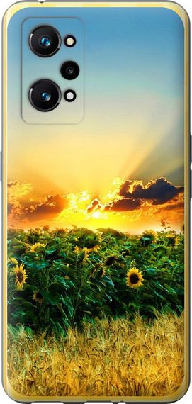 Чехол на Realme GT Neo 3T Украина "1601u-2960-17620"