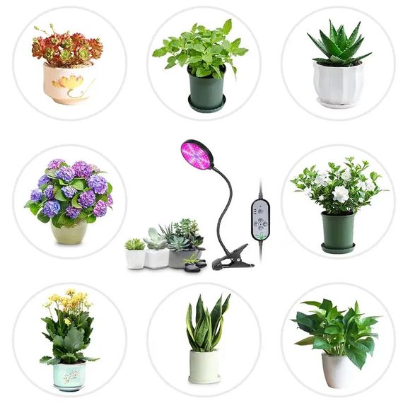 Гнучка фітолампа кругла 1 головка 15 Вт XPRO R1 (234562344_419) | Зображення 5