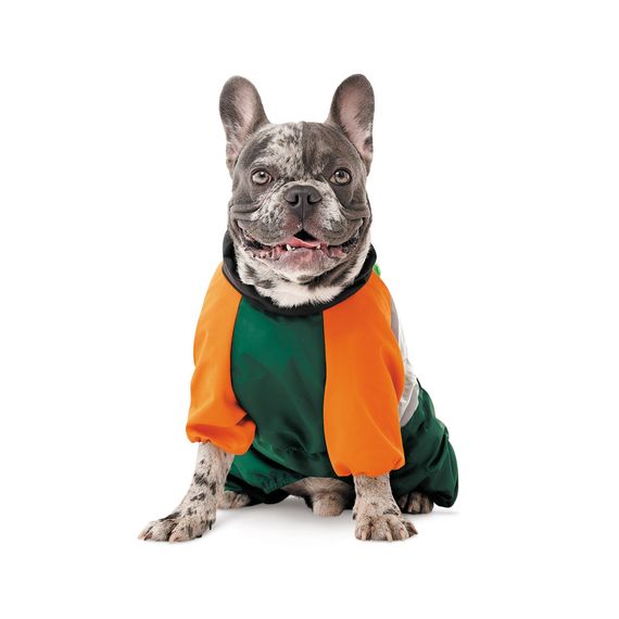 Дощовик Marlie МL для собак | Зображення 2