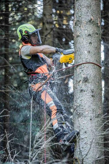 Пила ланцюгова акумуляторна безщіткова з верхньою ручкою DeWALT DCMCST635N | Зображення 8