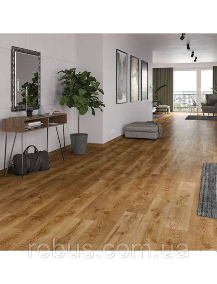 Ламінат Classen Vision 4V WR 8mm/33кл. 52792 Дуб Альберта | Зображення 2