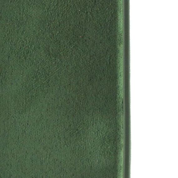 Чехол Silicone Case Full Camera Protective (AA) для Apple iPhone 16 (6.1") Зеленый / Cyprus Green | Зображення 6