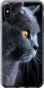 Чехол на iPhone X Красивый кот "3038u-1050-17620"