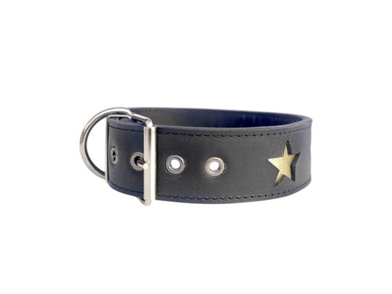 Шкіряний нашийник для собак "Golden Star" чорно-золотистий | Зображення 1