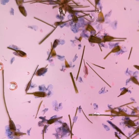 Гель з сухоцвітами Moon Full Flower Fairy Gel №FF03 5 мл