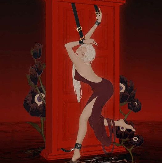 Дверні фіксатори UPKO Constraints Door Anchors Ankle Restraints для фіксації ніг | Зображення 2