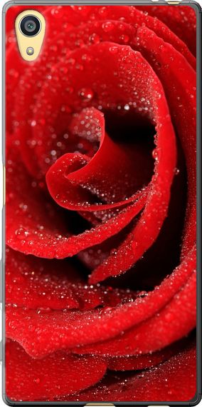 Чехол на Sony Xperia Z5 E6633 Красная роза "529u-274-17620"