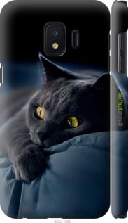 Чохол на Samsung Galaxy J2 Core Димчастий кіт "825m-1565-2448"