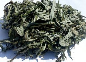 Полинь звичайна / Чорнобильник, 500г.