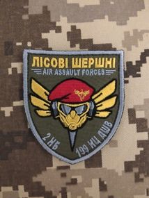 Шеврон 2 НБ 199 НЦ ДШВ Лісові Шершні Air Assault Forces