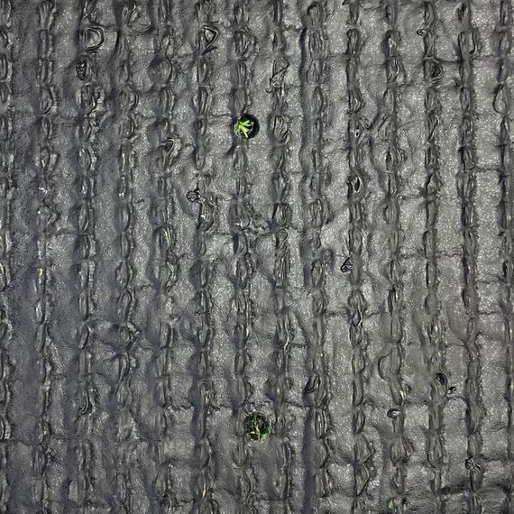 Штучна трава Betap Spectrum 15 | Зображення 4