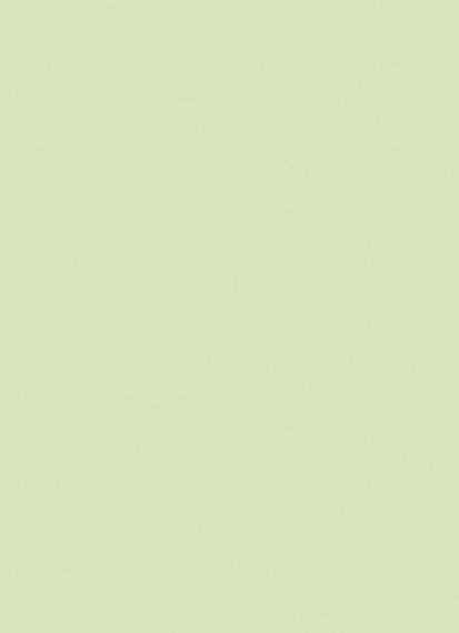 Блокнот 4Profi "Frutti note", green 40 листов формат В6 903184 | Зображення 1