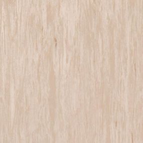 Лінолеум Tarkett Standard Plus Light Belge 0479 (2m)