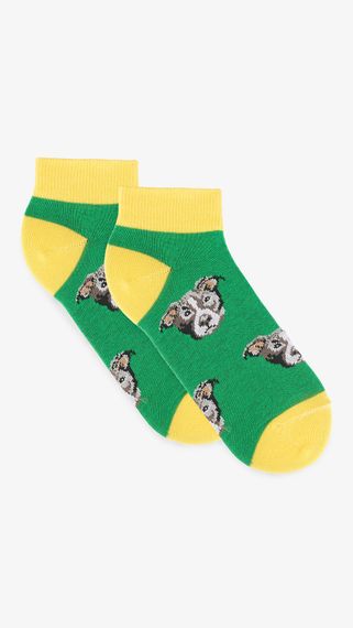Шкарпетки короткі чоловічі UBС011 36-38 Зелений shop (4820226551584) | Зображення 1