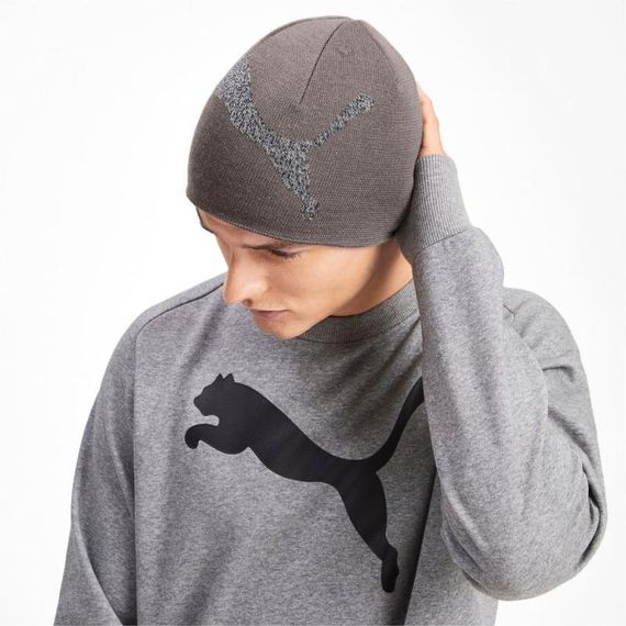 Шапка спортивна Puma Ess Logo Beanie 022330 06 (сірий, акрил, подвійна в'язка, тепла, зимова, логотип пума) | Зображення 1