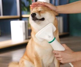 Гребінець фен для вичісування шерсті собак і котів Pet Grooming Dryer WN-10, машинка для тварин.